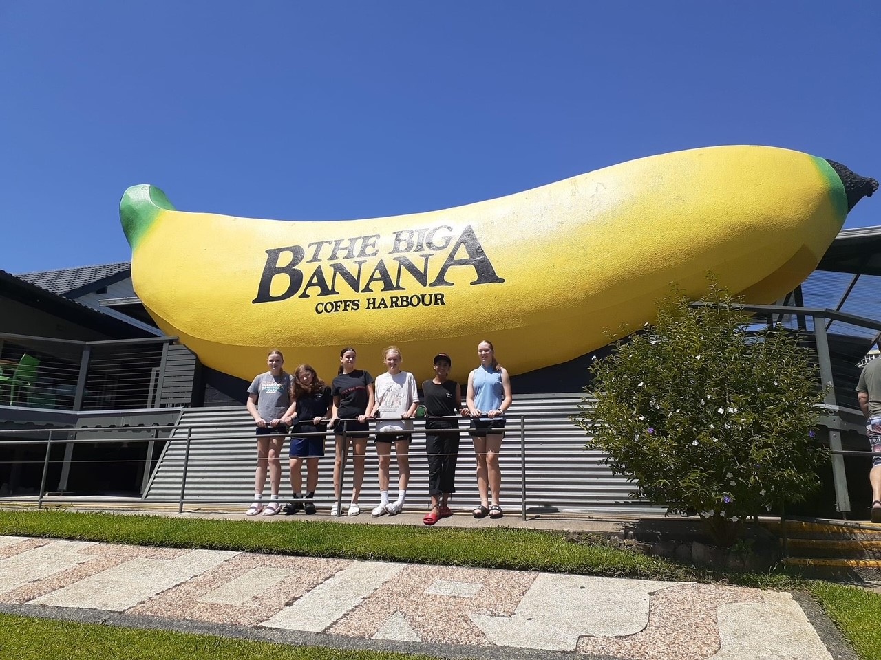 belmont-big-banana